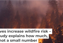 A record-tying heat wave helped spread a wildfire in Northern California’s Shasta and Trinity counties in July 2018. Terray Sylvester/Getty Images